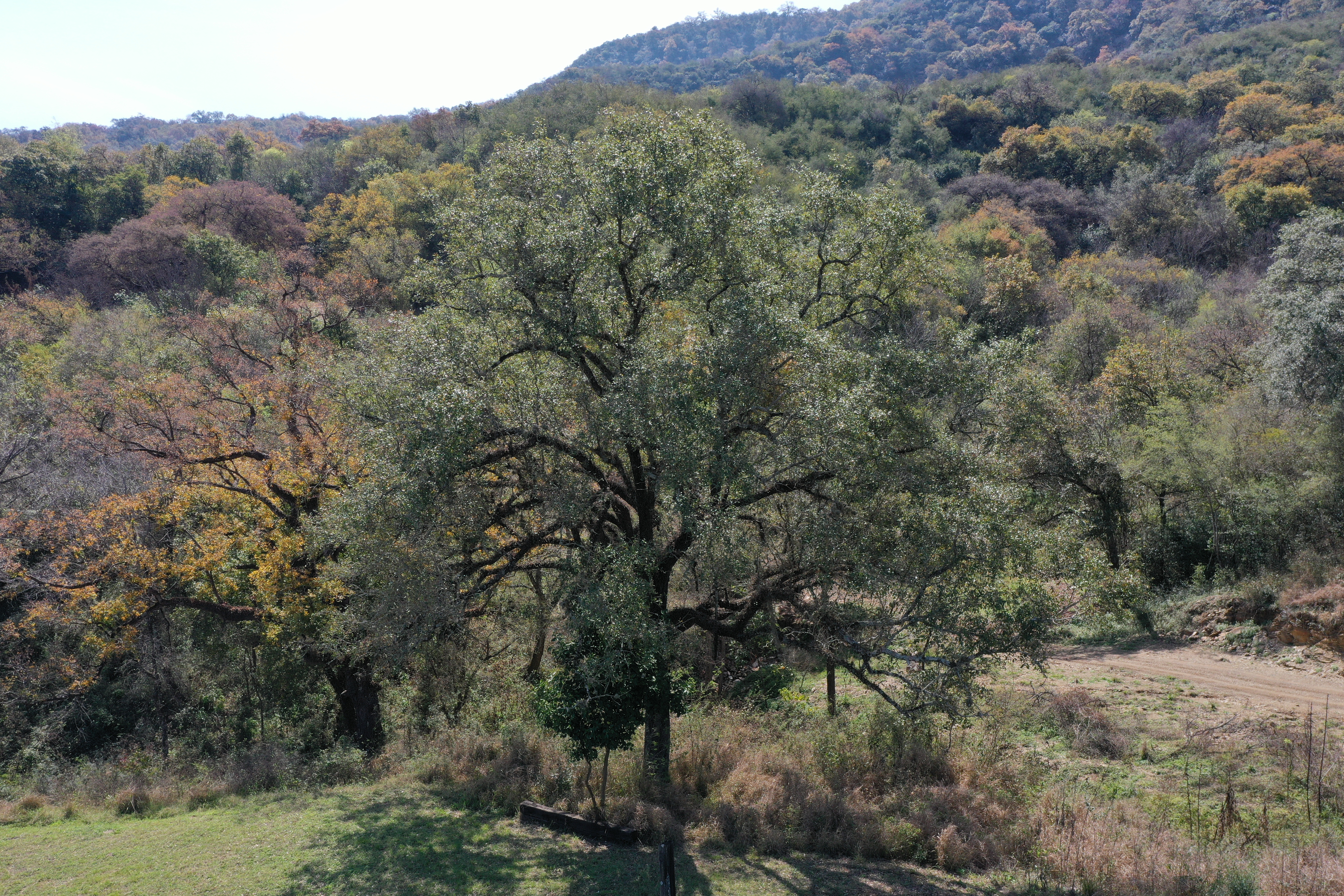 Vida en Monte Azul
